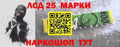 дмт Славгород