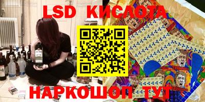 дмт Славгород