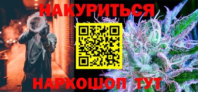 дмт Славгород