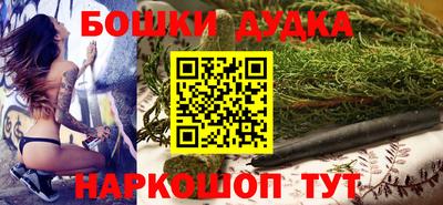 дмт Славгород