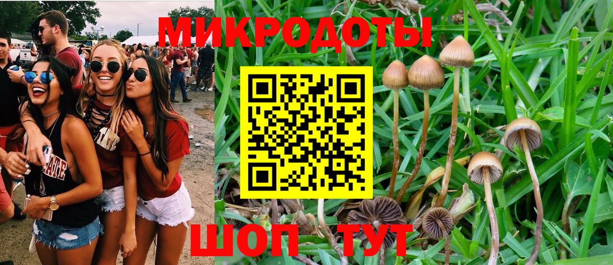 Галлюциногенные грибы Cubensis Октябрьский